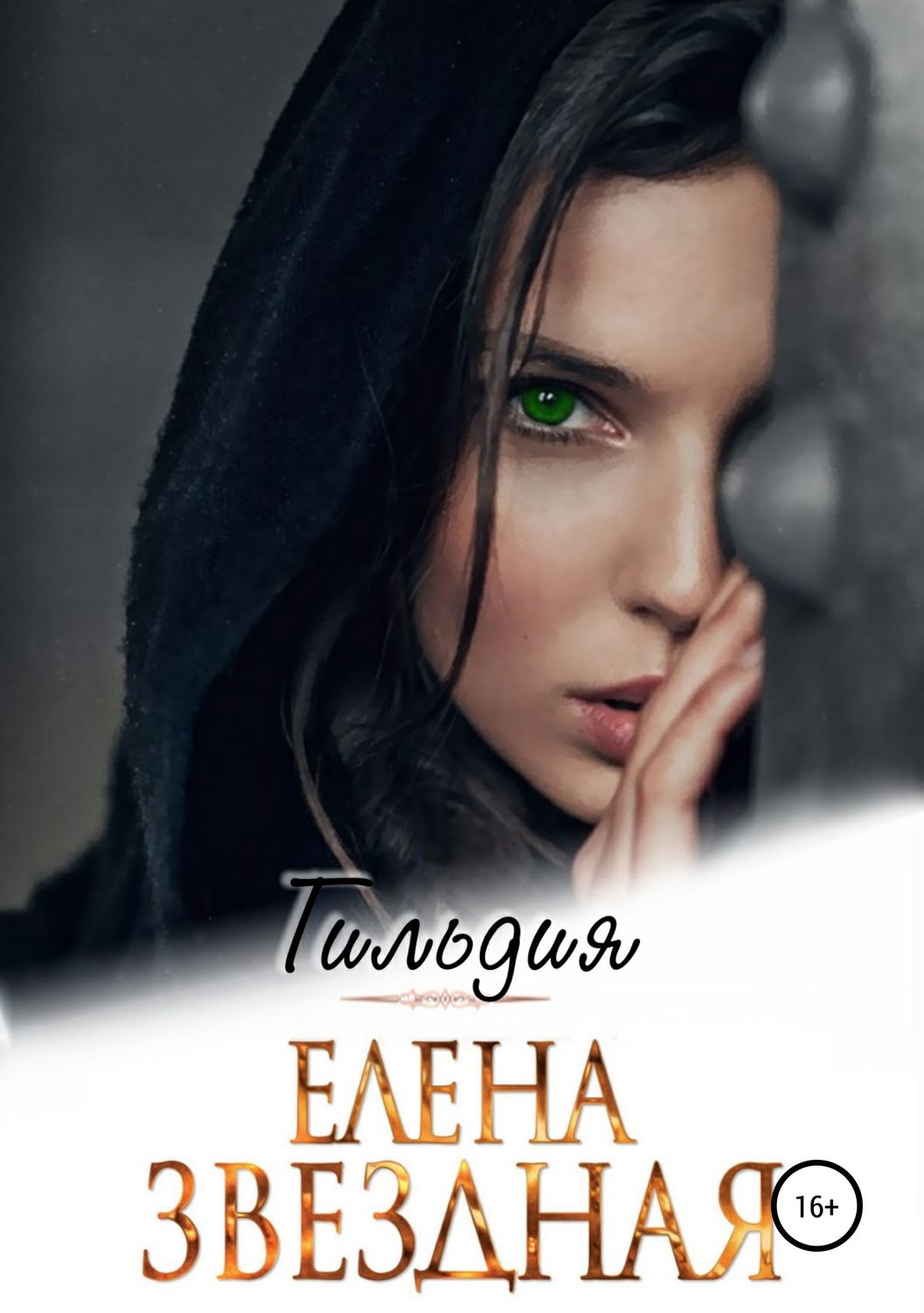 Обложка книги «Гильдия»