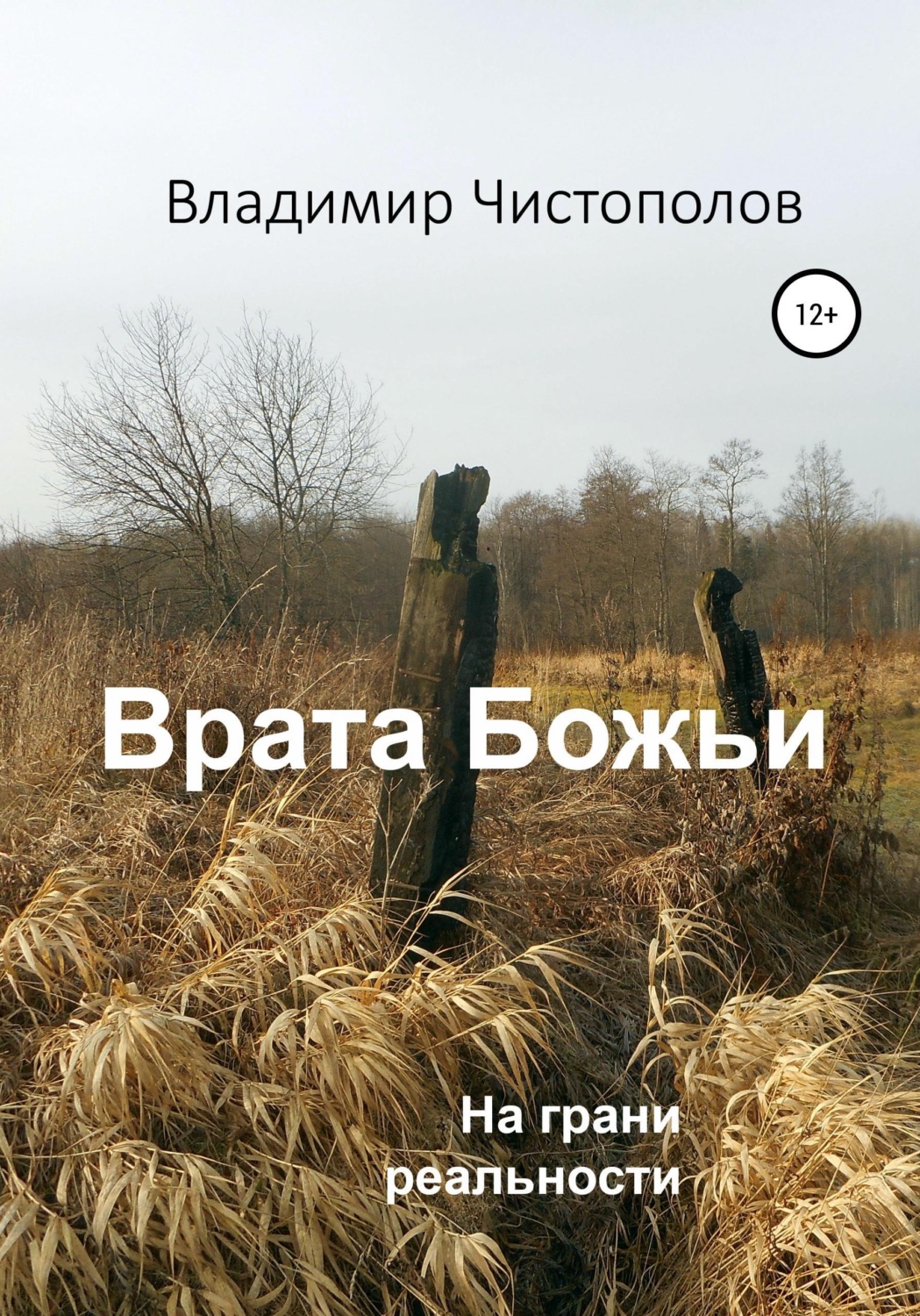Обложка книги «Врата Божьи»