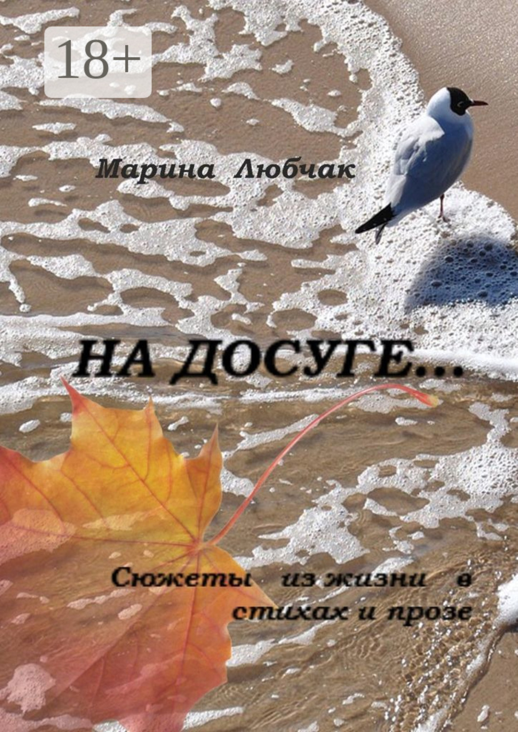 Обложка книги «На досуге… Сюжеты из жизни в стихах и прозе»