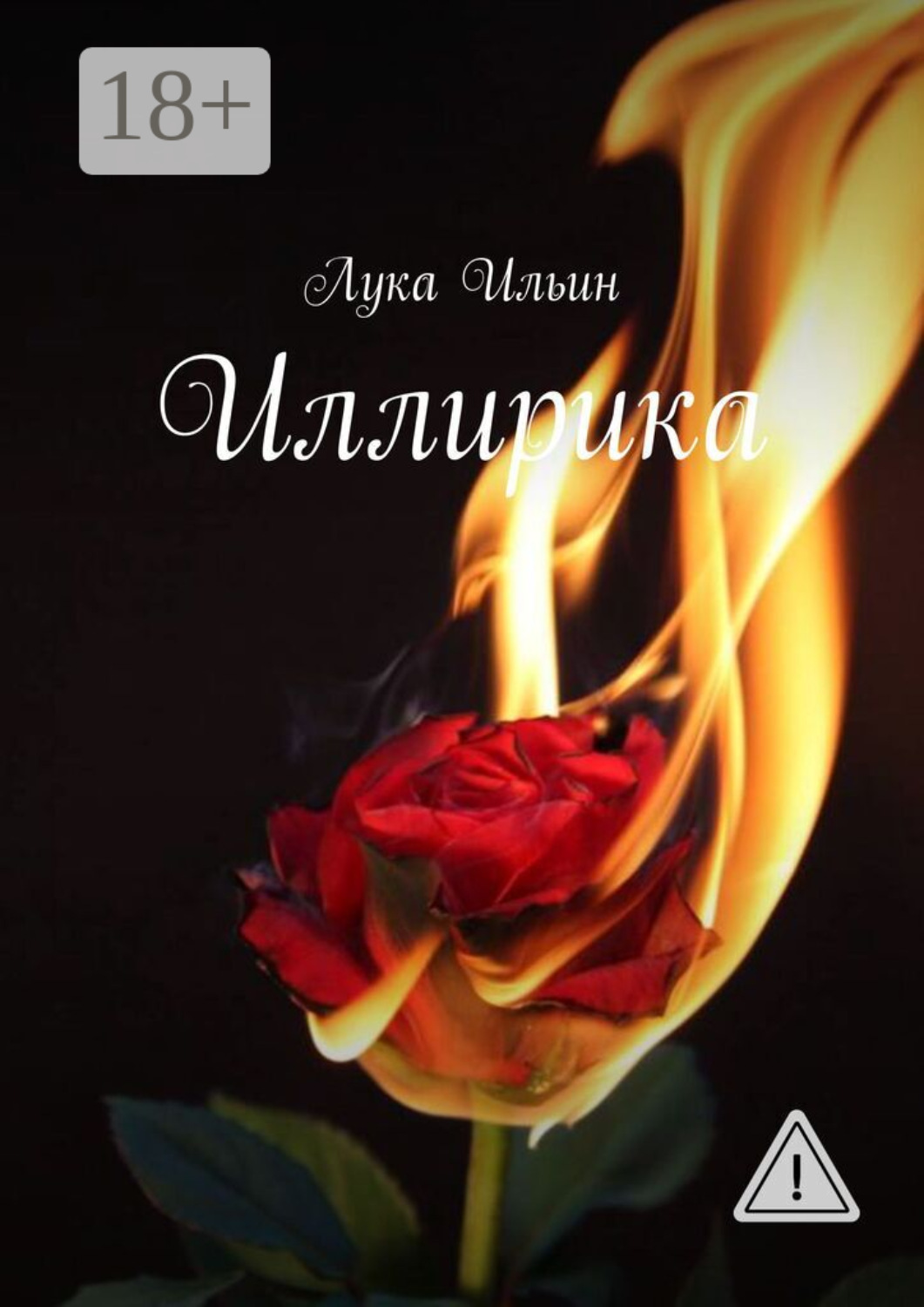 Обложка книги «Иллирика»