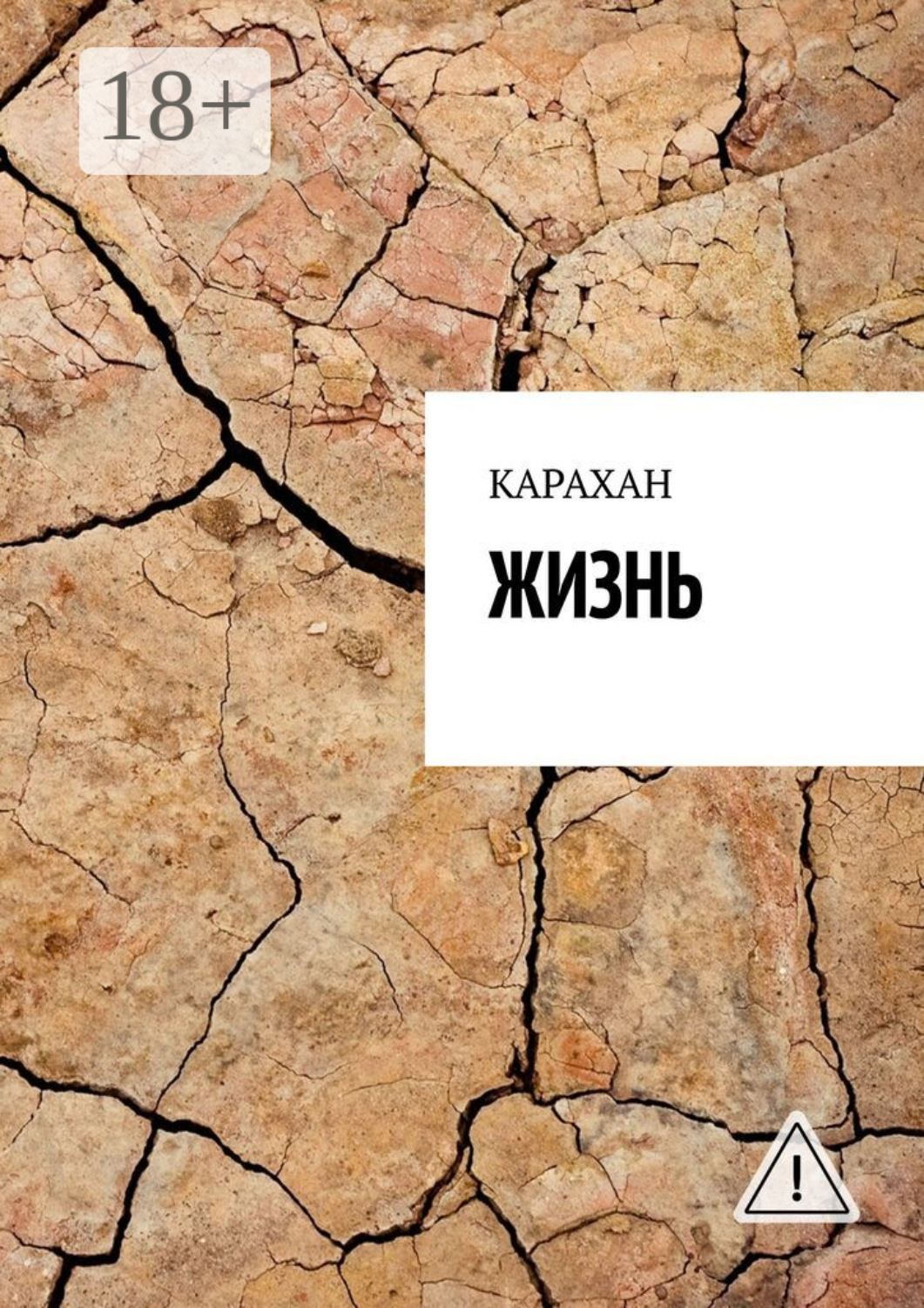 Обложка книги «ЖИЗНЬ»