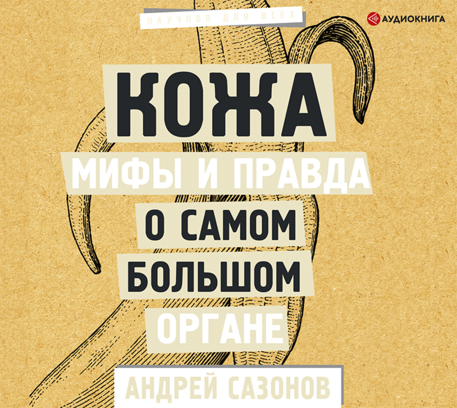 Обложка книги «Кожа: мифы и правда о самом большом органе»