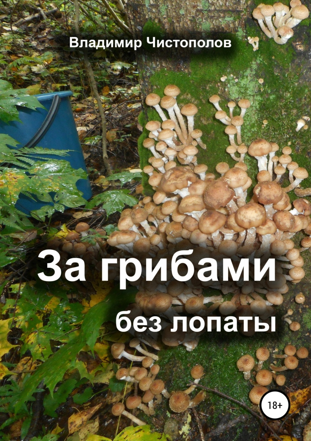 Обложка книги «За грибами без лопаты»