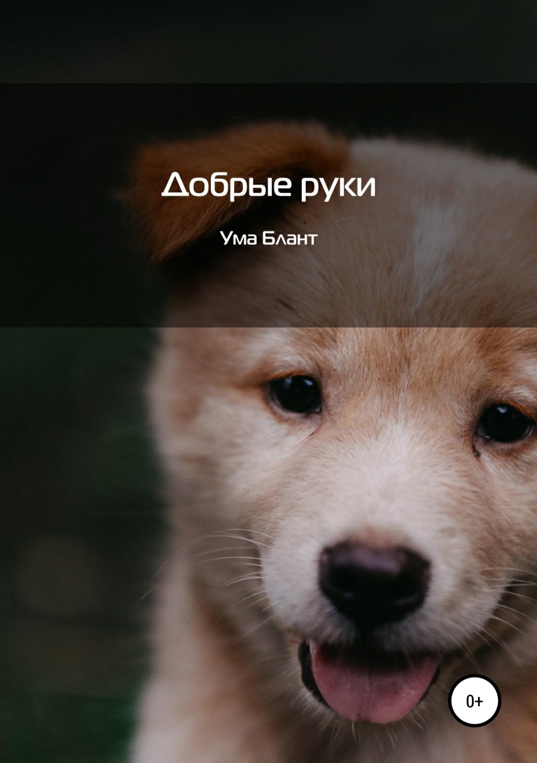 Обложка книги «Добрые руки»