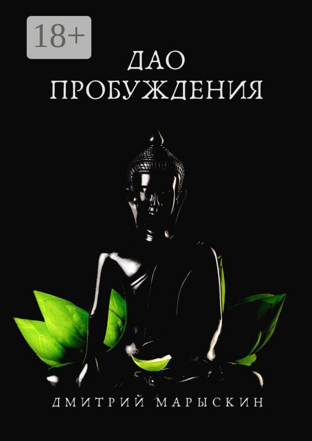 Обложка книги «Дао пробуждения»