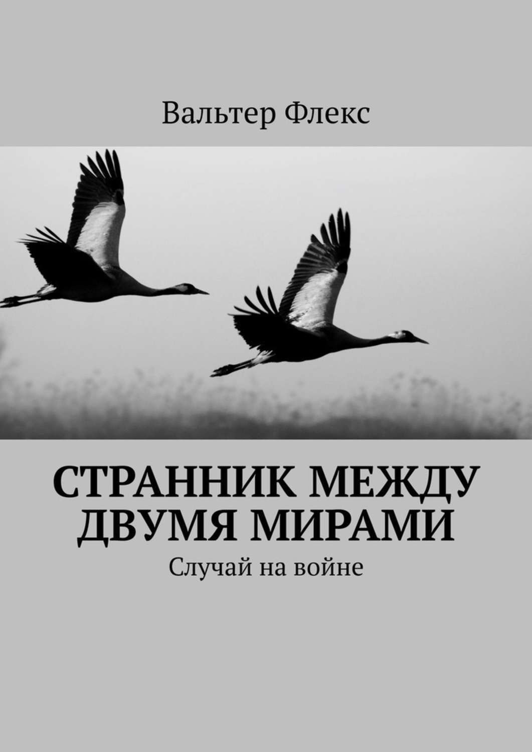 Обложка книги «Странник между двумя мирами. Случай на войне»