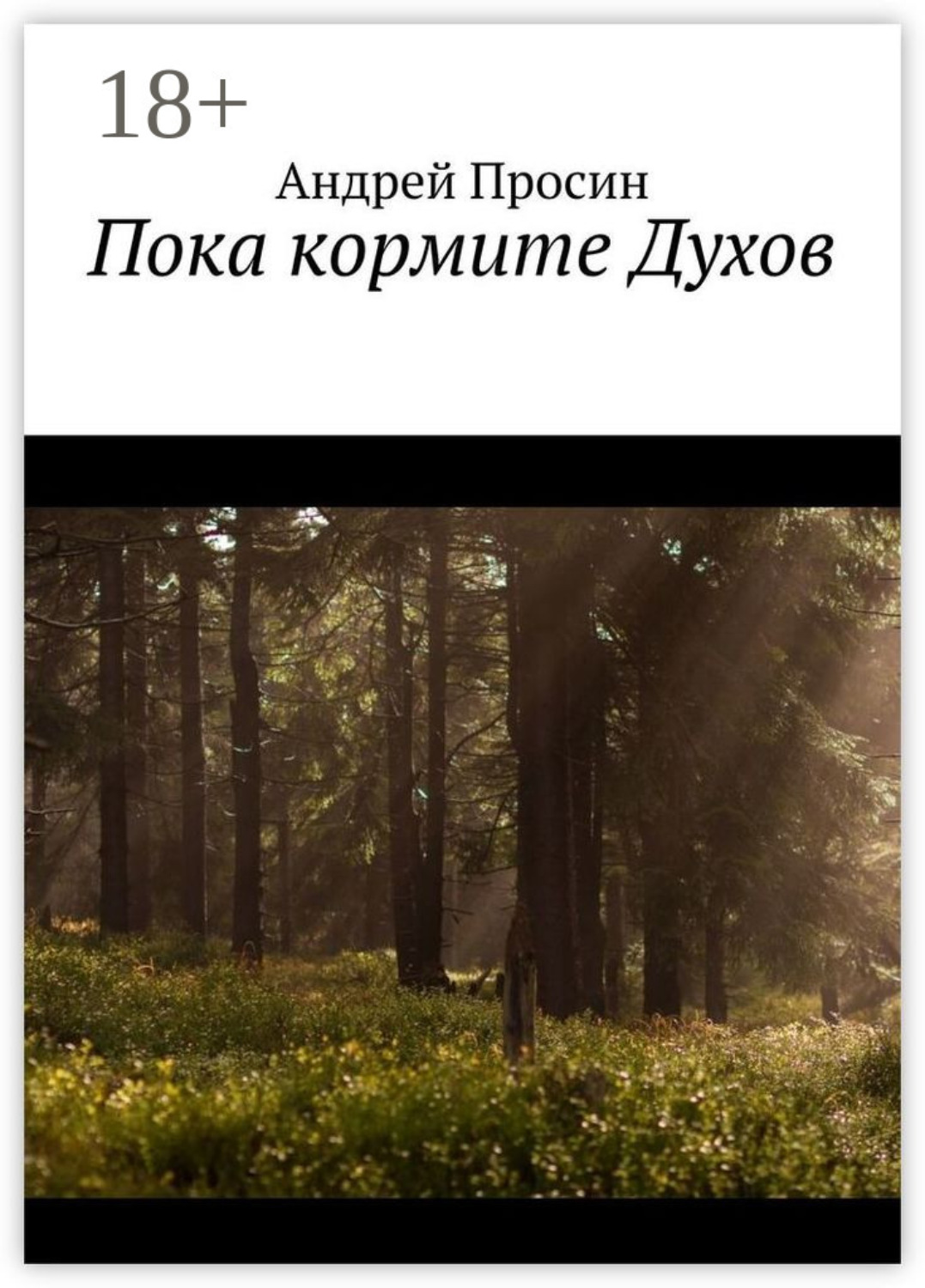 Обложка книги «Пока кормите Духов»