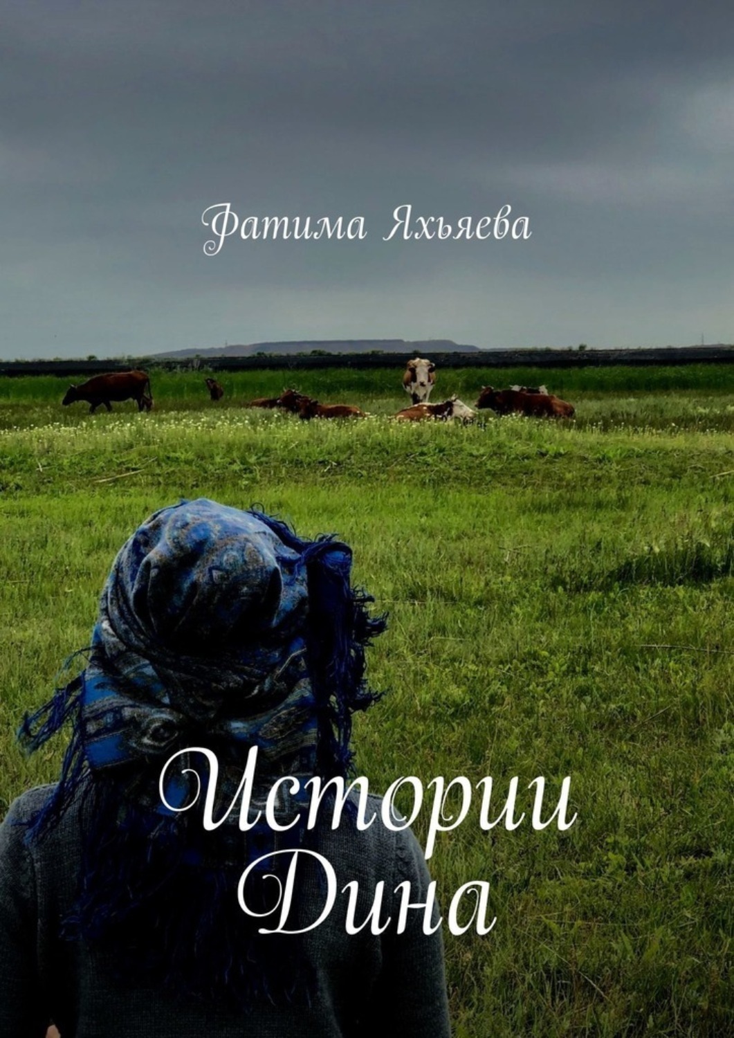 Обложка книги «Истории Дина»