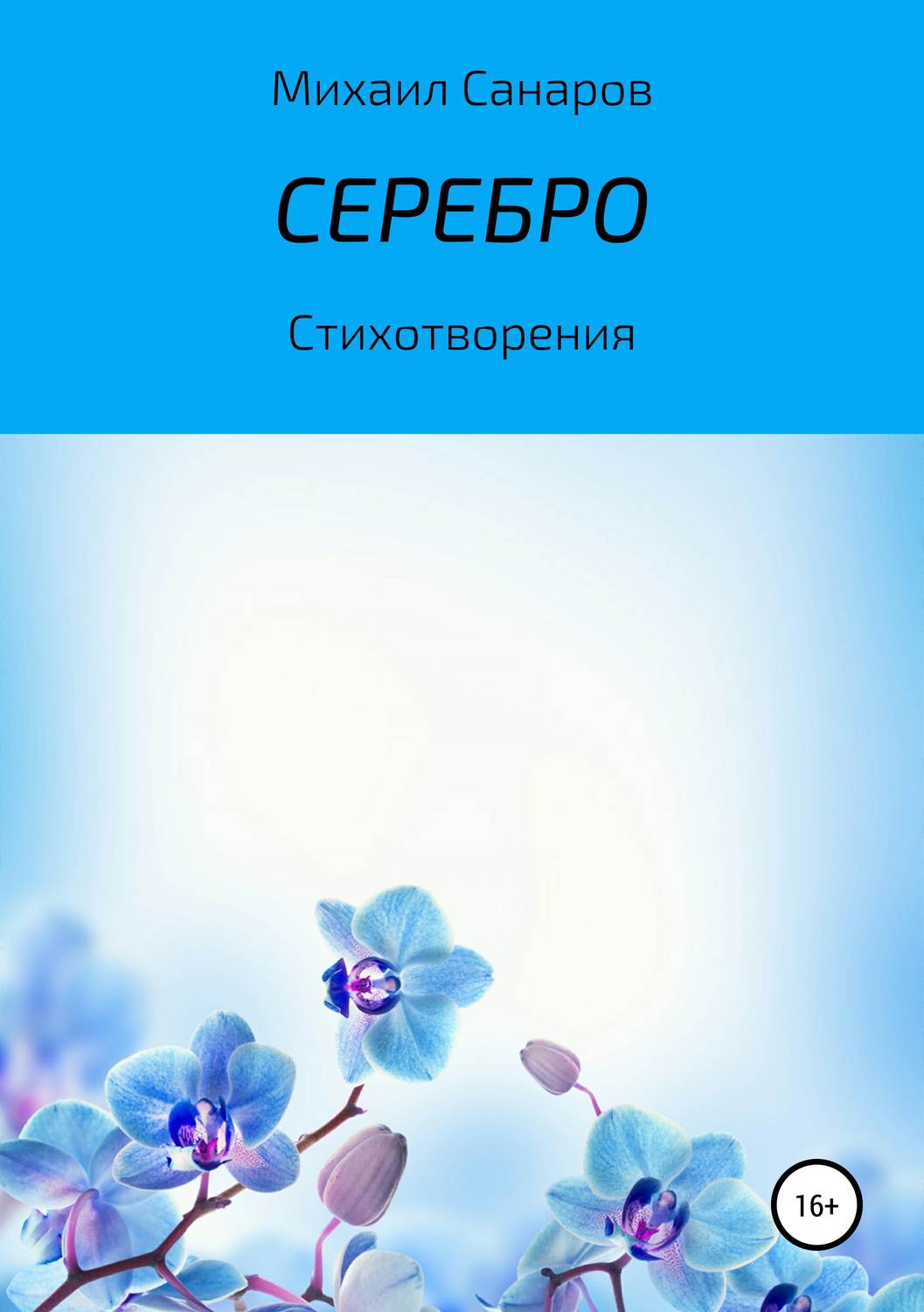 Обложка книги «Серебро»