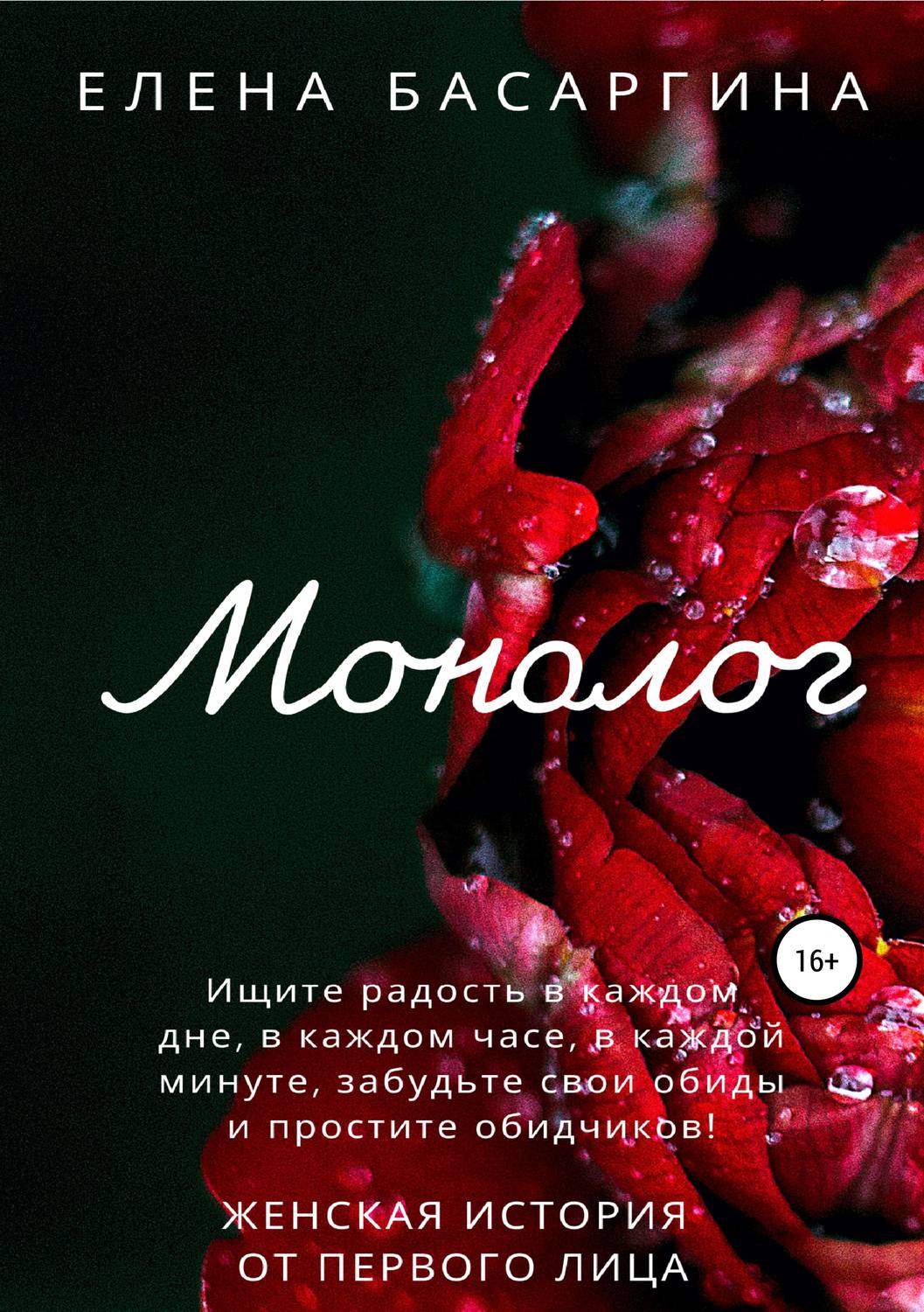 Обложка книги «Монолог»