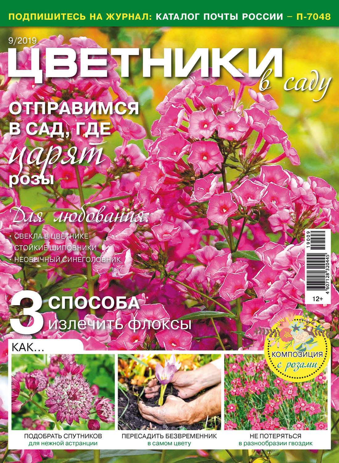 Обложка книги «Цветники в саду №09/2019»
