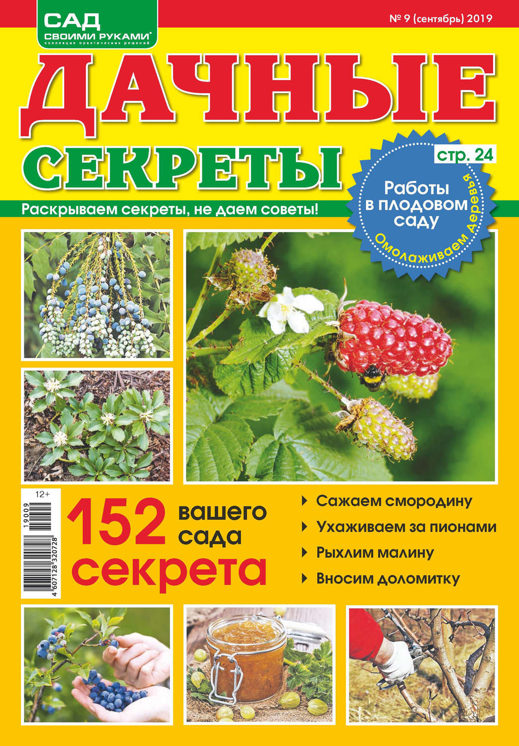 Обложка книги «Сад своими руками. Дачные секреты №09/2019»