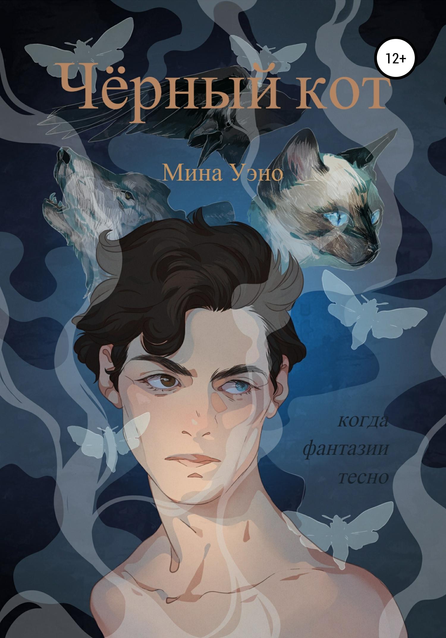 Обложка книги «Чёрный кот»