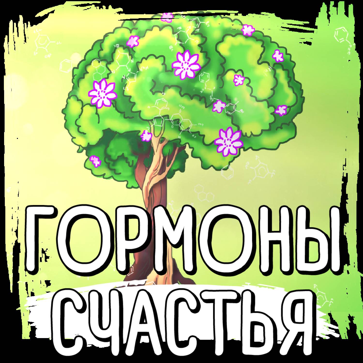 Обложка книги «Саммари на книгу «Гормоны счастья. Приучите свой мозг вырабатывать серотонин, дофамин, эндорфин и окситоцин». Лоретта Грациано Бройнинг»