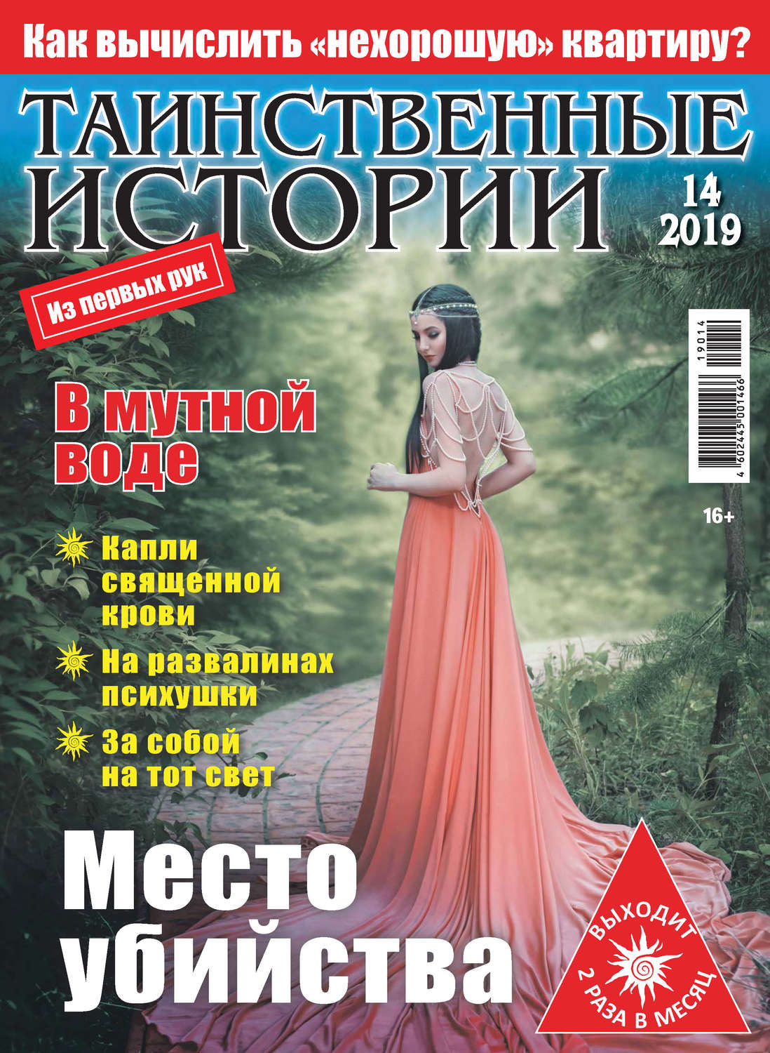 Обложка книги «Таинственные истории №14/2019»
