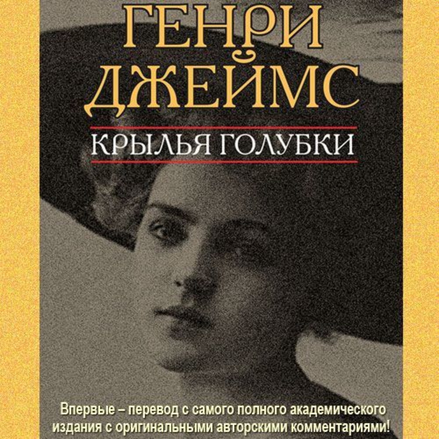 Обложка книги «Крылья голубки»