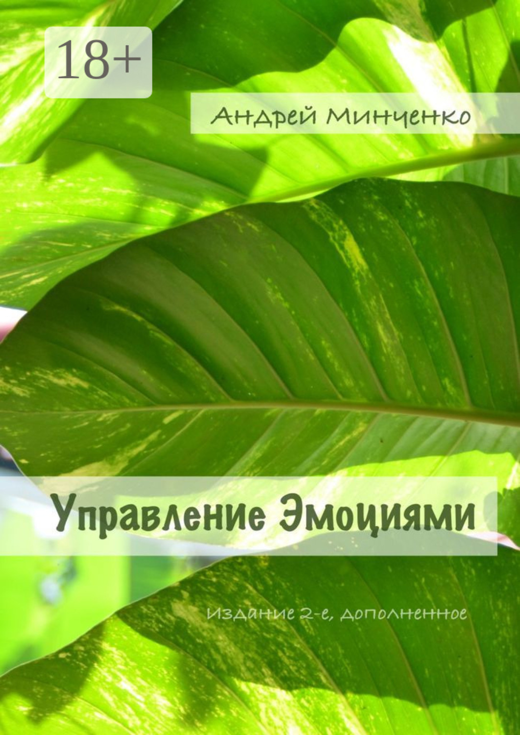 Обложка книги «Управление эмоциями. Издание 2-е, дополненное»