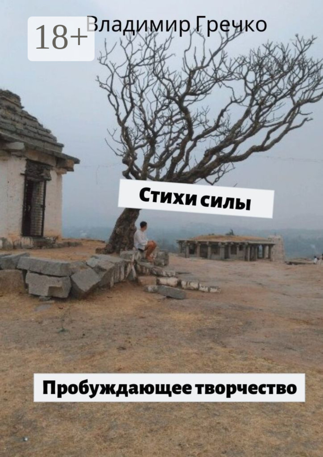 Обложка книги «Стихи силы. Пробуждающее творчество»