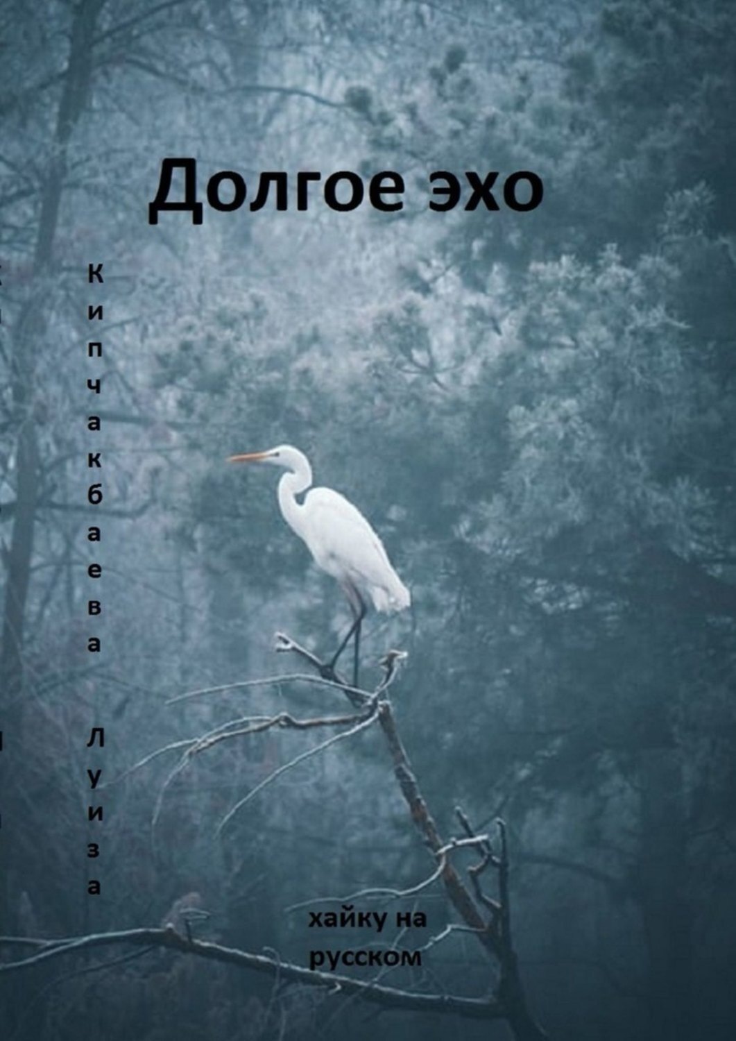 Обложка книги «Долгое эхо»
