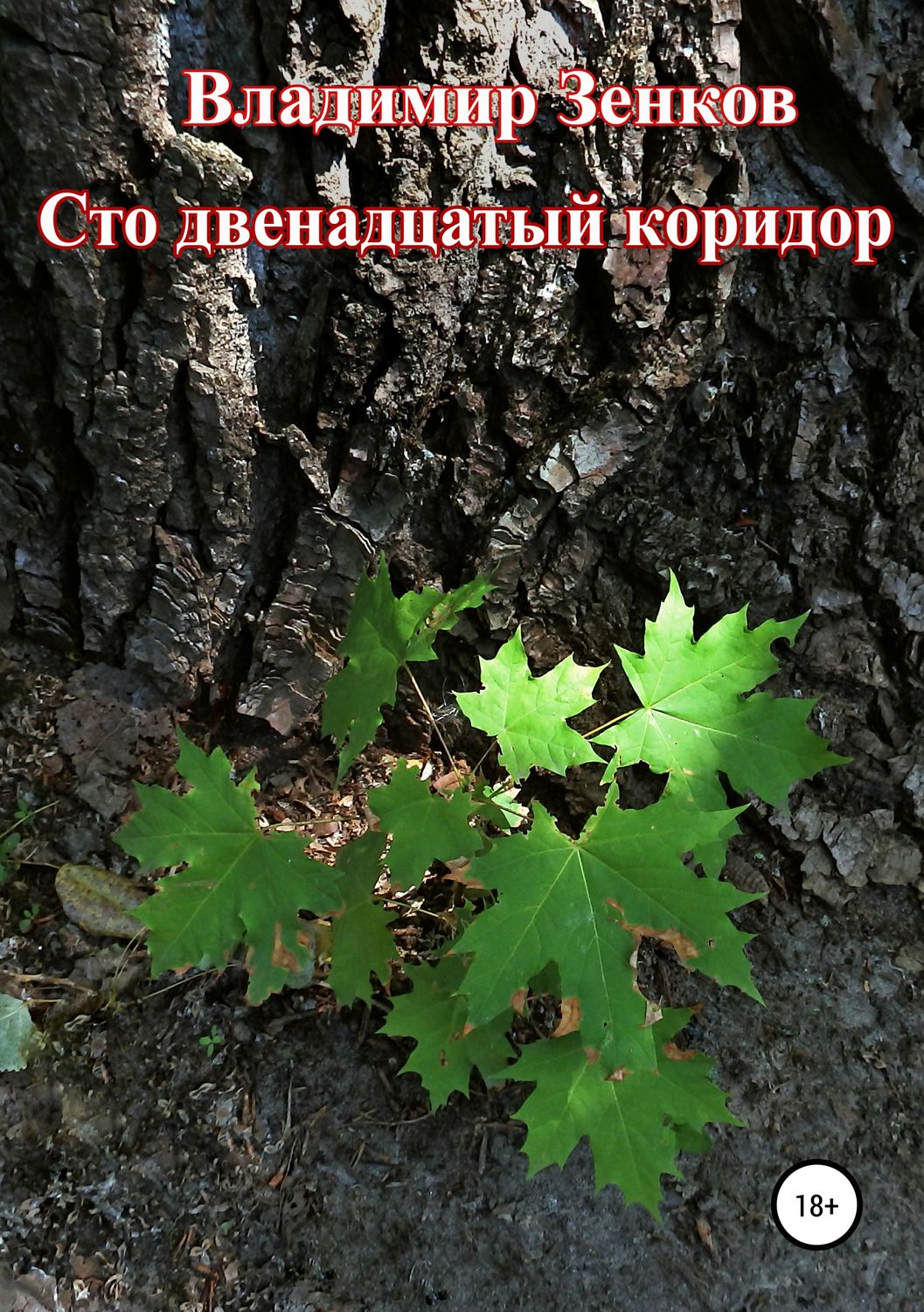 Обложка книги «Сто двенадцатый коридор»
