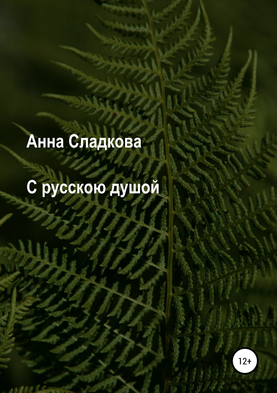 Обложка книги «С русскою душой»