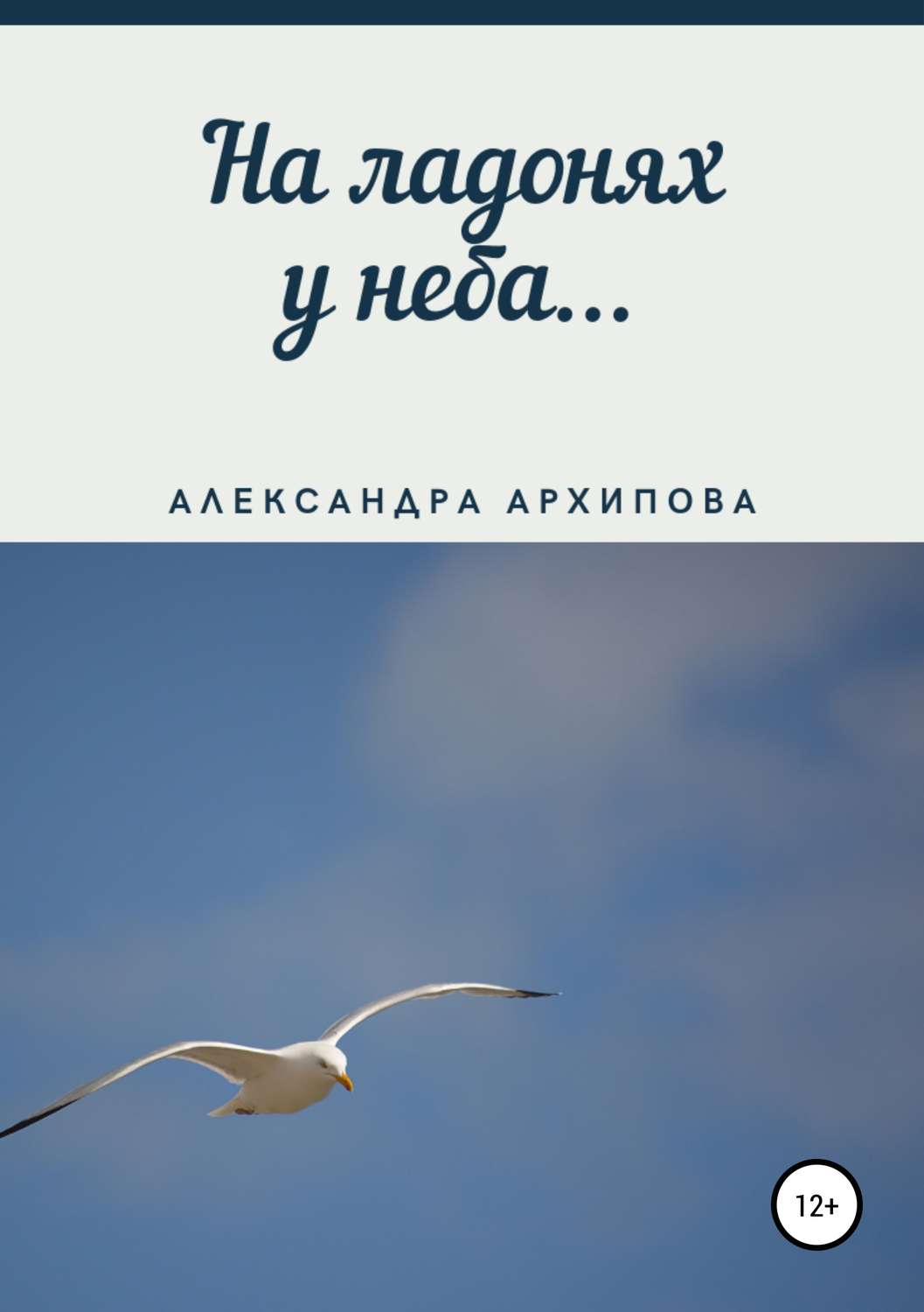 Обложка книги «На ладонях у неба…»