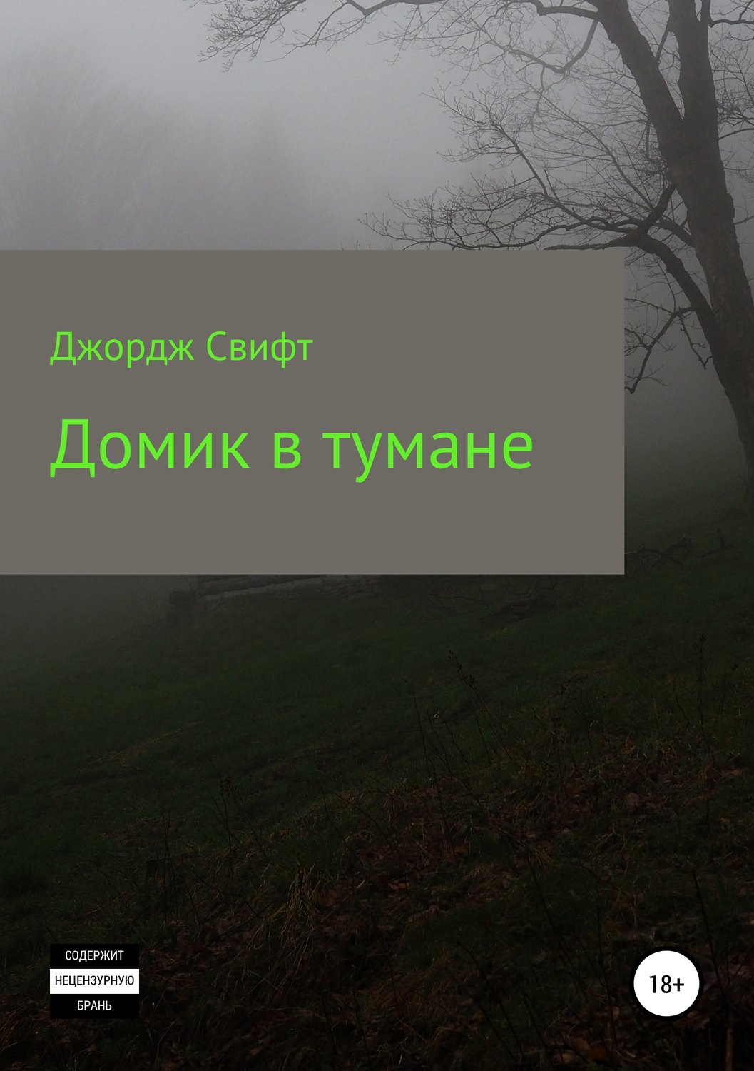 Обложка книги «Домик в тумане»
