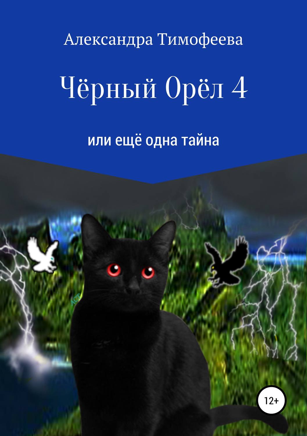 Обложка книги «Чёрный Орёл 4 или ещё одна тайна»