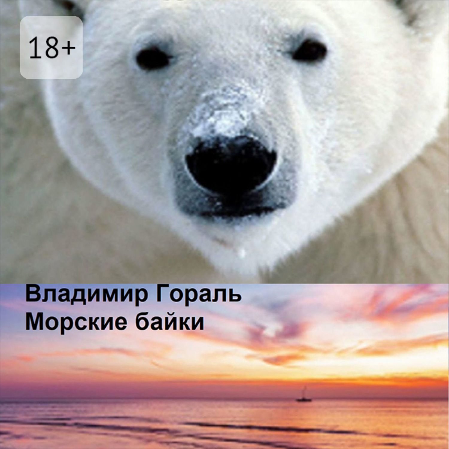 Обложка книги «Морские байки. Рассказы и новеллы»