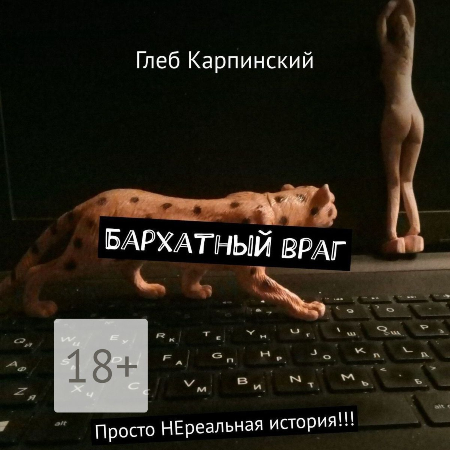 Обложка книги «Бархатный враг. Просто НЕреальная история!!!»