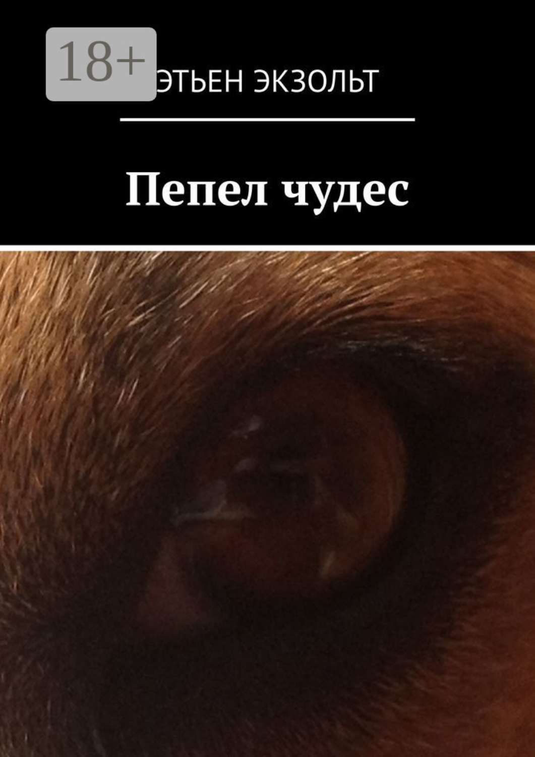 Обложка книги «Пепел чудес»