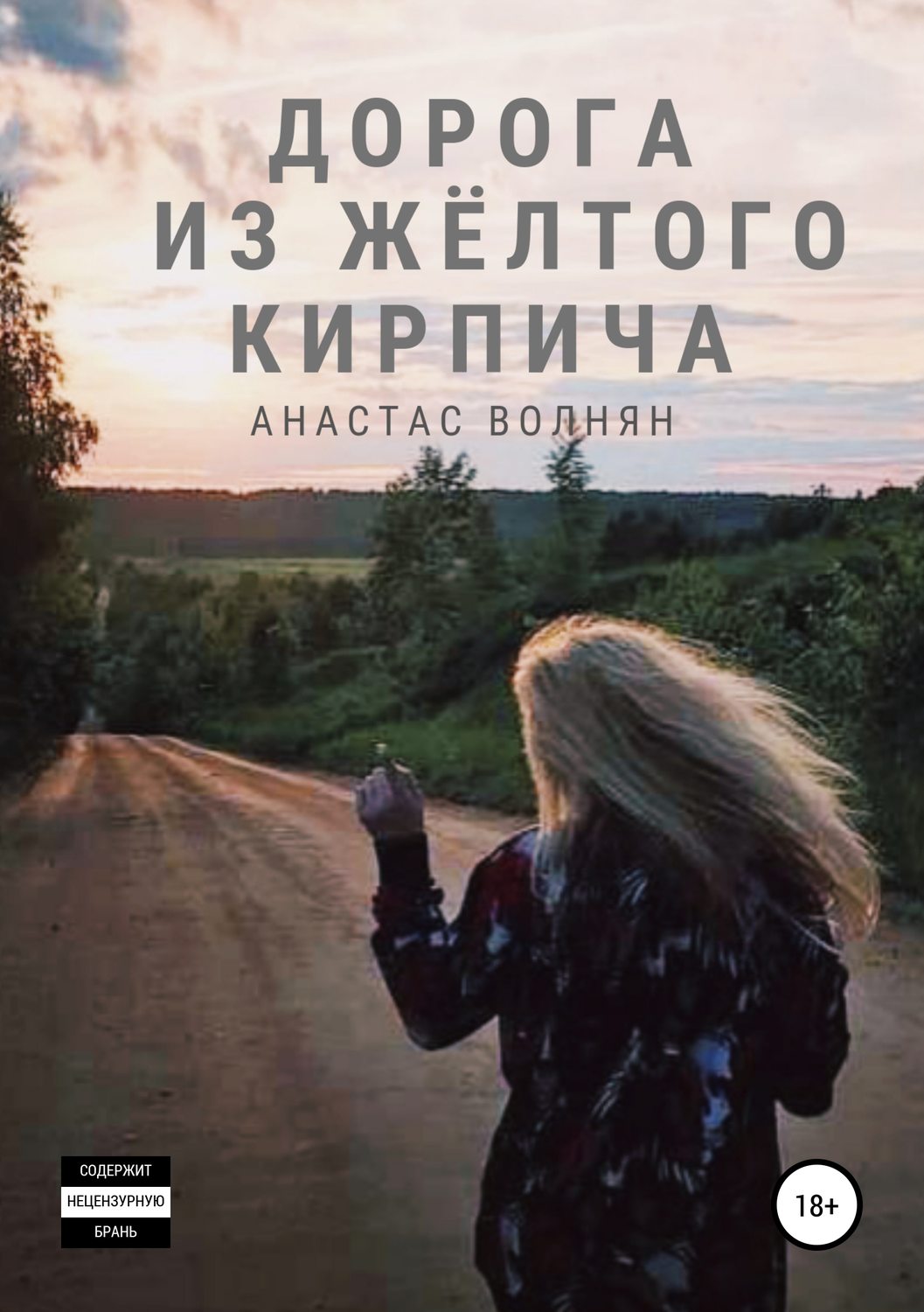 Обложка книги «Дорога из жёлтого кирпича»