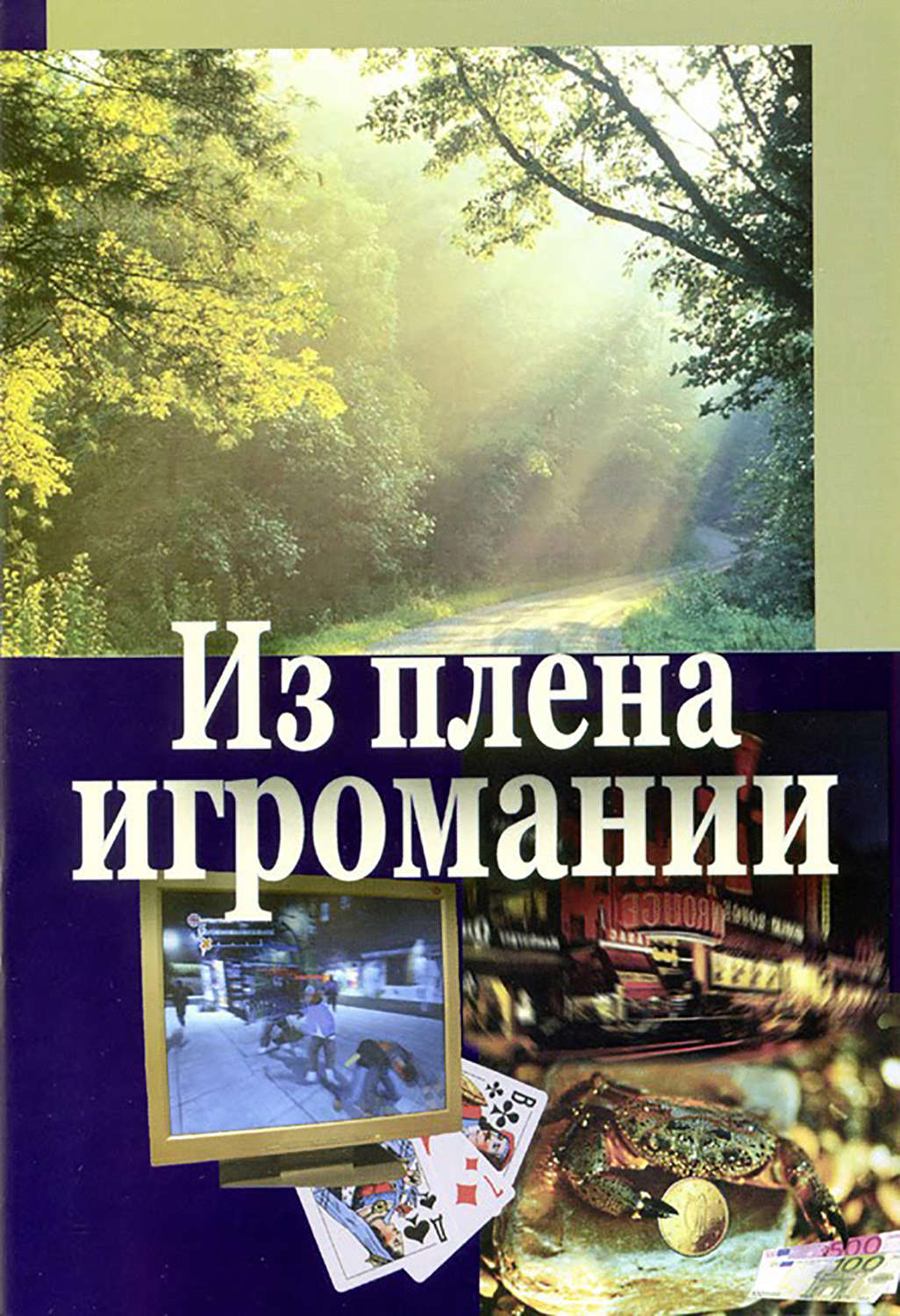 Обложка книги «Из плена игромании»