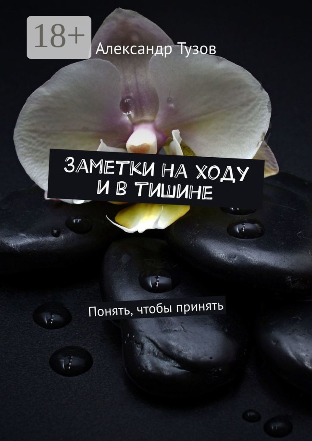 Обложка книги «Заметки на ходу и в тишине. Понять, чтобы принять»