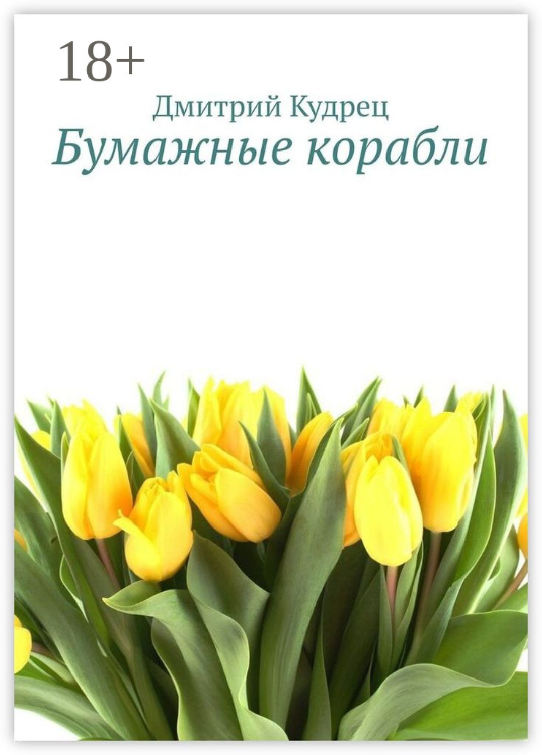 Обложка книги «Бумажные корабли»