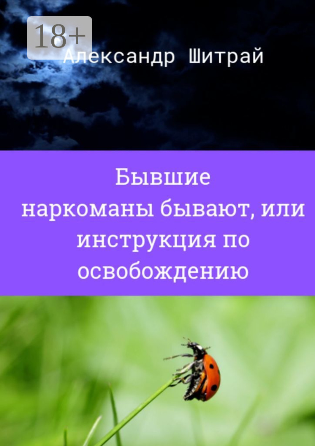 Обложка книги «Бывшие наркоманы бывают, или Инструкция по освобождению»
