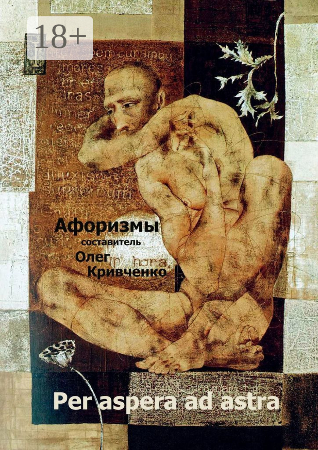 Обложка книги «Per aspera ad astra»