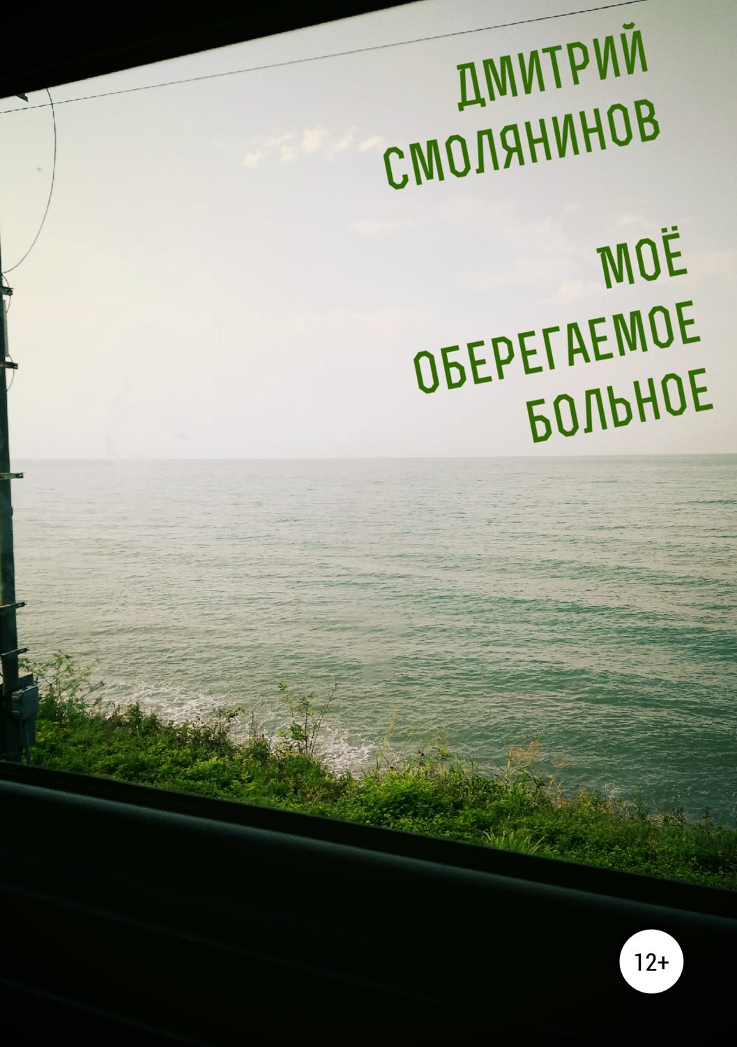 Обложка книги «Моё оберегаемое больное»
