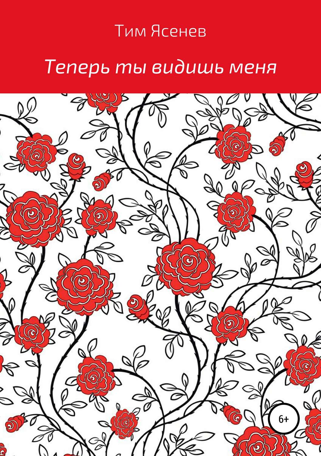 Обложка книги «Теперь ты видишь меня»