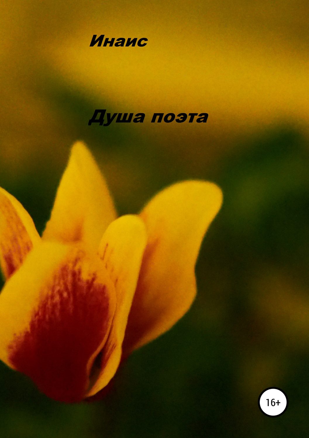 Обложка книги «Душа поэта»