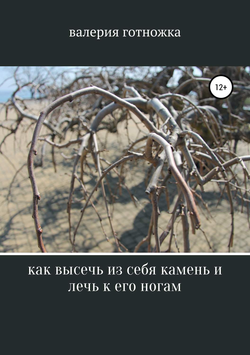Обложка книги «Как высечь из себя камень и лечь к его ногам»