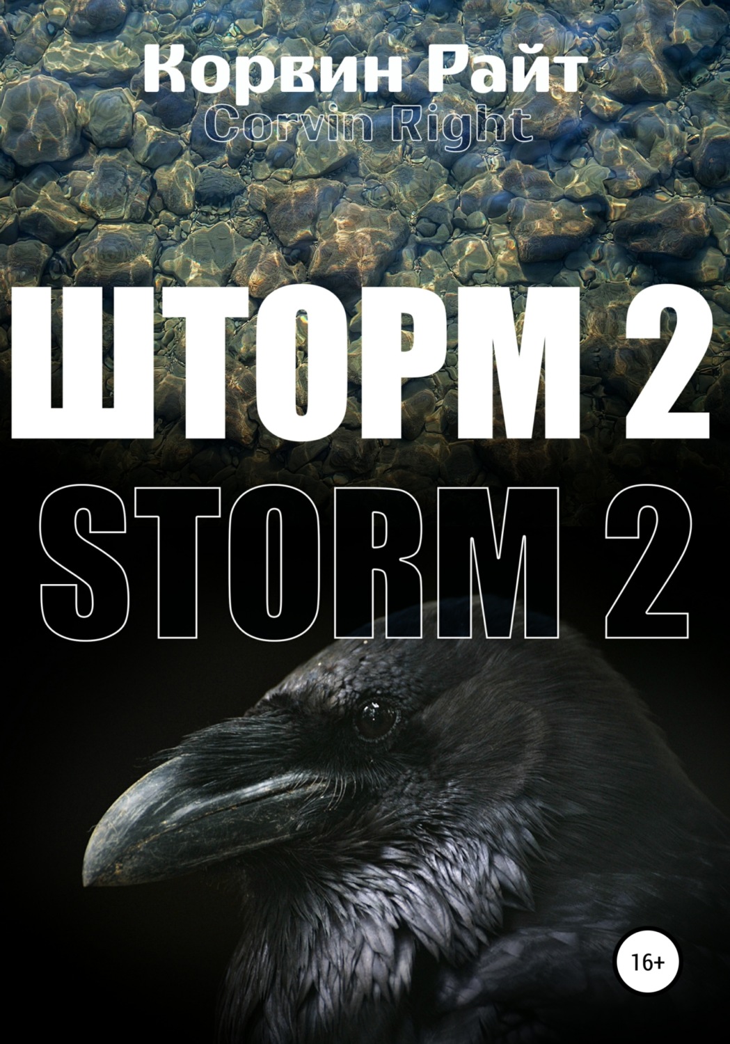 Обложка книги «Шторм-2»