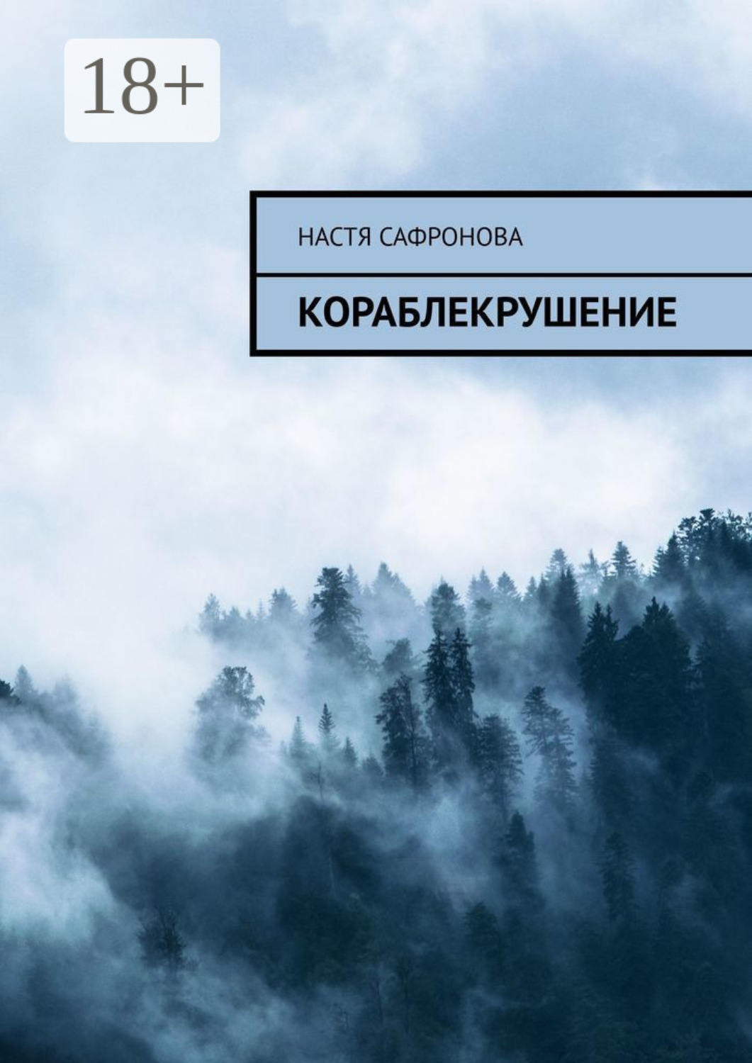 Обложка книги «КОраблЕкрушение»
