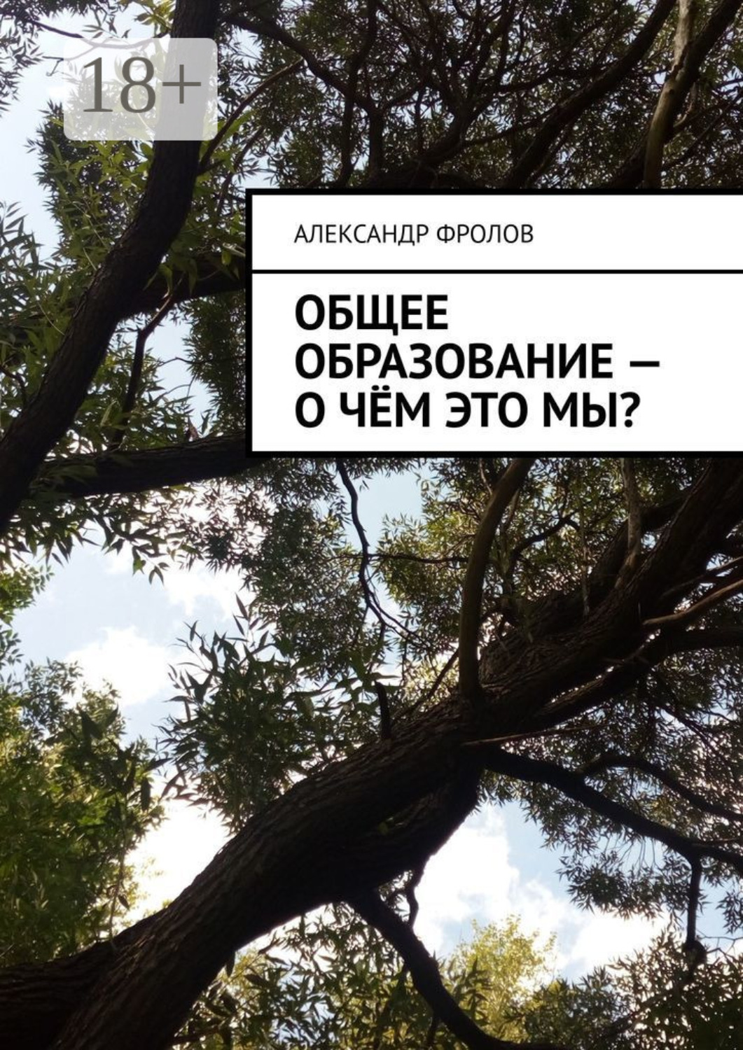 Обложка книги «Общее образование – о чём это мы?»