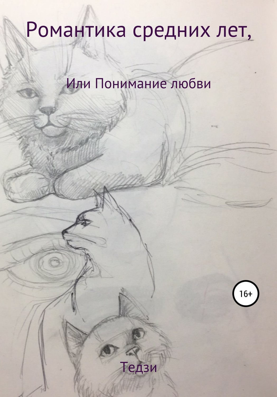 Обложка книги «Романтика средних лет, или Понимание любви»