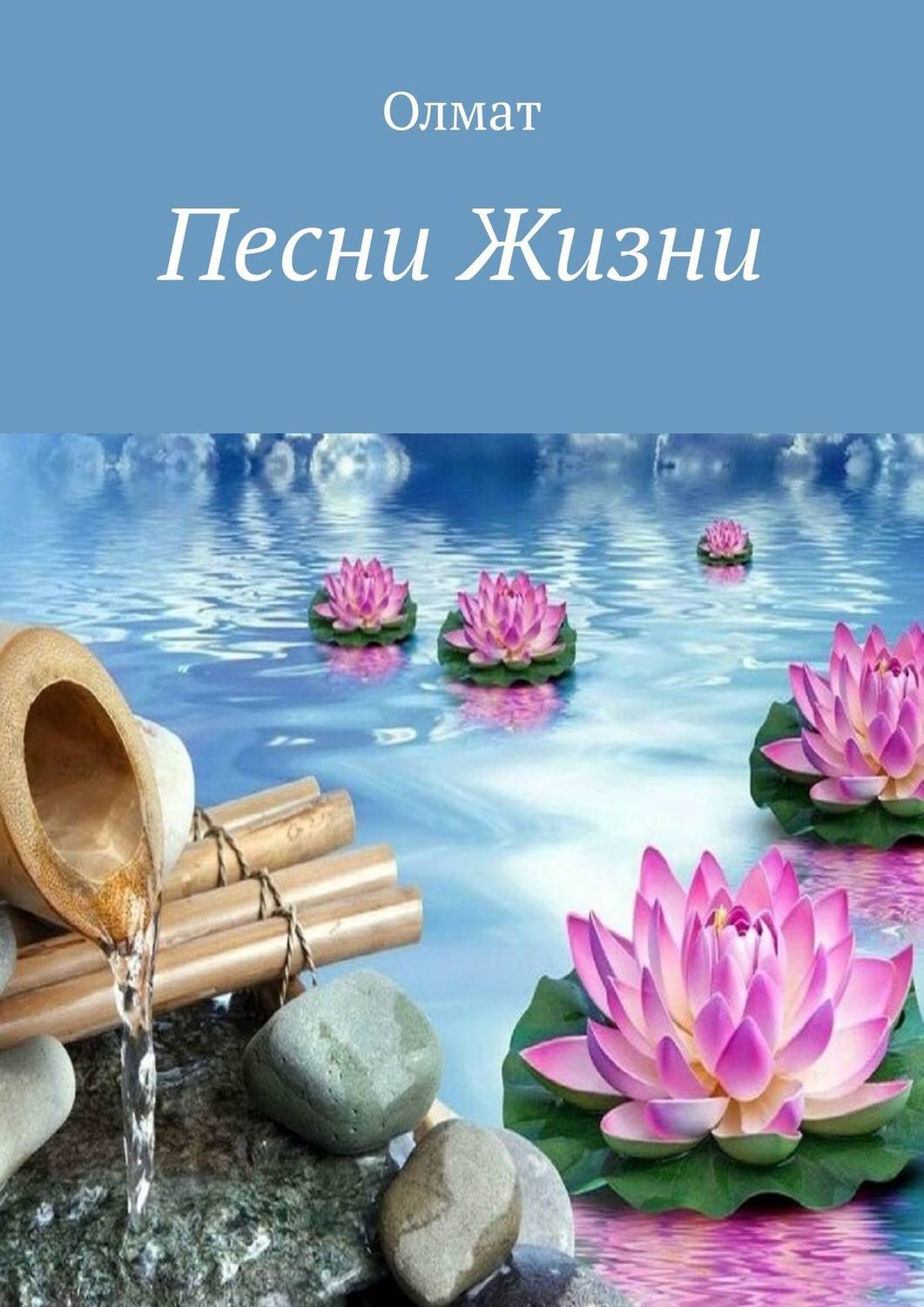 Обложка книги «Песни Жизни»