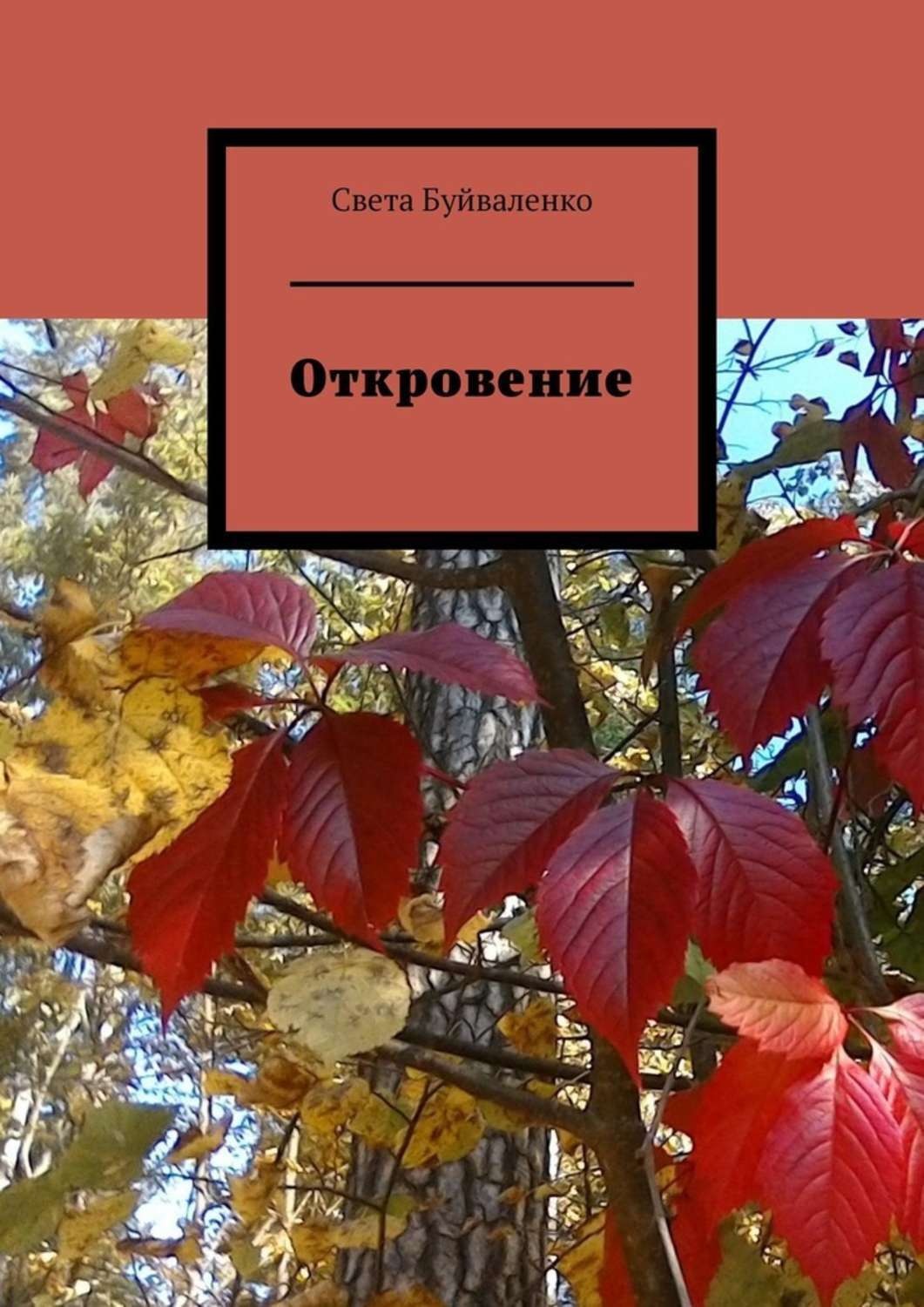 Обложка книги «Откровение»