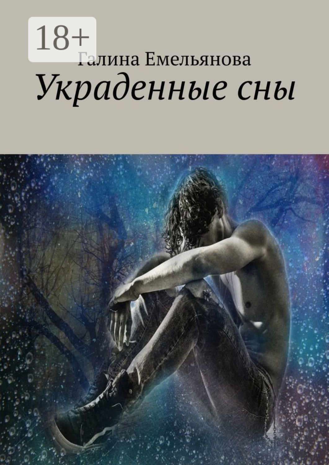 Обложка книги «Украденные сны»