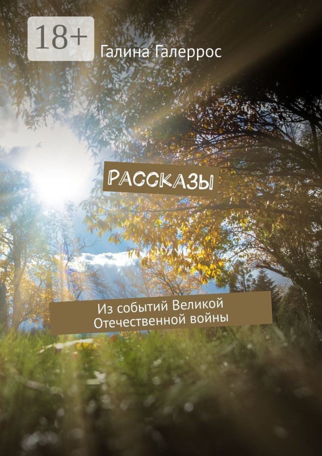 Обложка книги «Рассказы. Из событий Великой Отечественной войны»