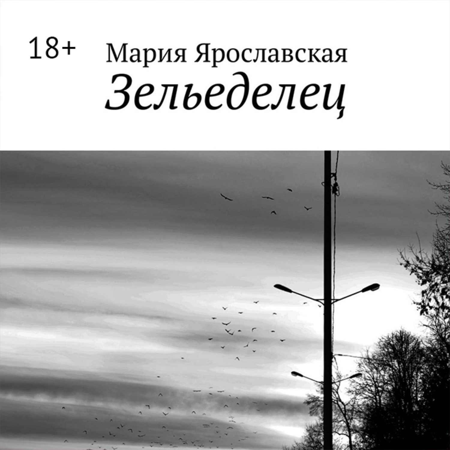 Обложка книги «Зельеделец»